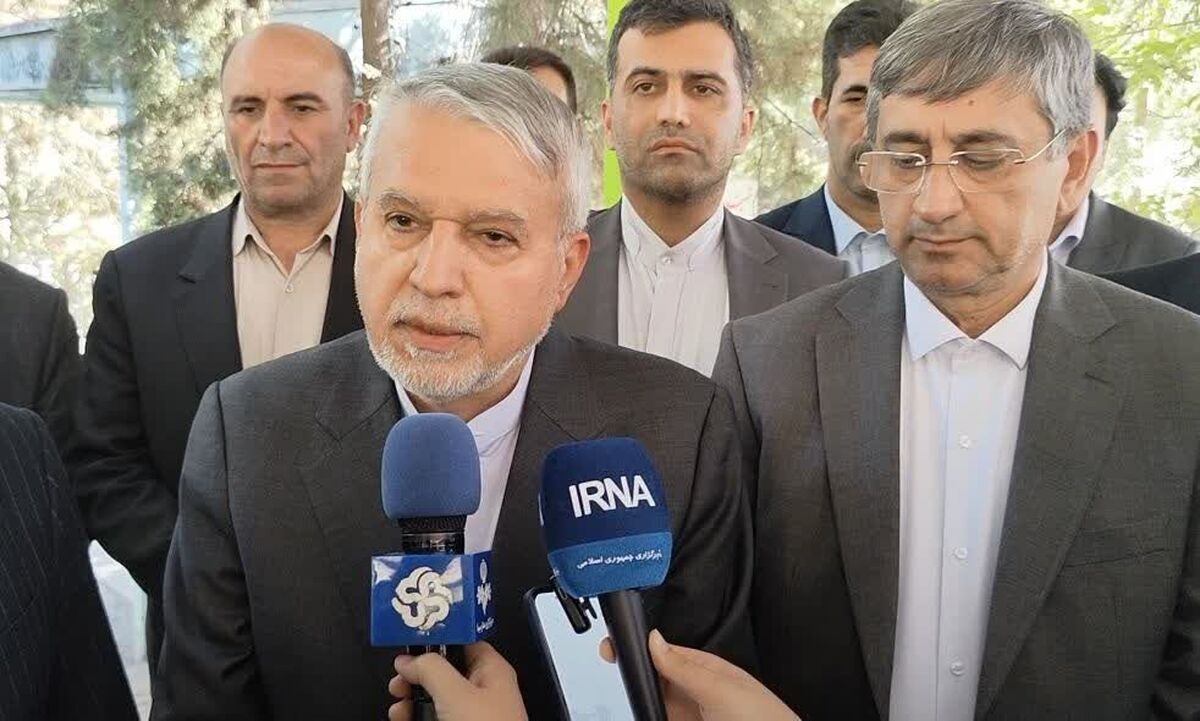 وزیر میراث فرهنگی:دولت مشوق‌های جدیدی برای حوزه گردشگری تعریف کرده است