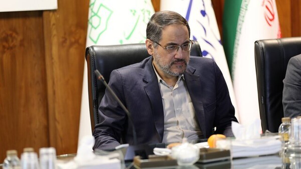 ۳۳ درصد شهدای ما در جنگ ۱۲ روزه شهروندان معمولی هستند
