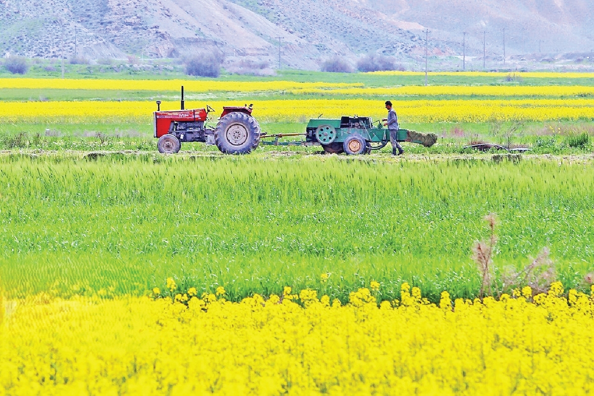 اصلاح الگوی کشت، کاهش وسعت کشت نیست