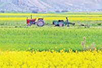 اصلاح الگوی کشت، کاهش وسعت کشت نیست