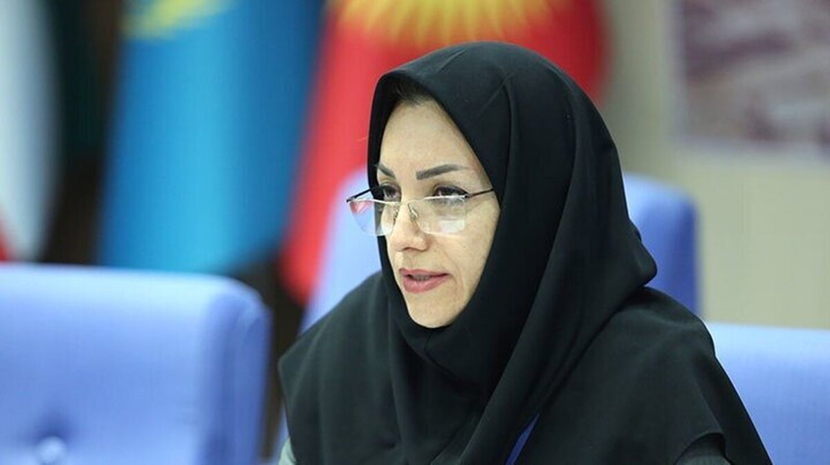 رئیس سازمان هواشناسی: پایش برخط بارش دریاچه ارومیه آغاز شد
