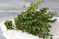 ساخت حسگر آنفلوانزا با طعمی مشابه آویشن
