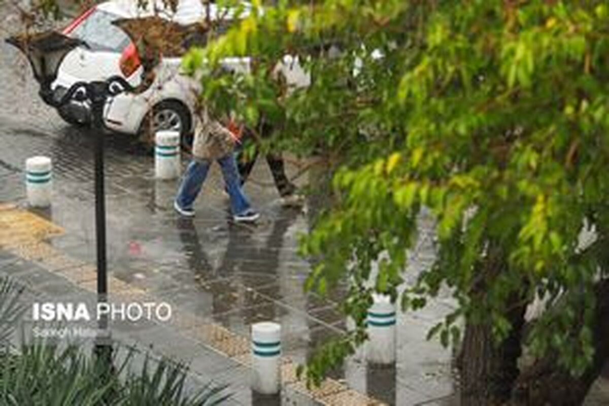 رگبار و رعد و برق در شمال و جنوب کشور
