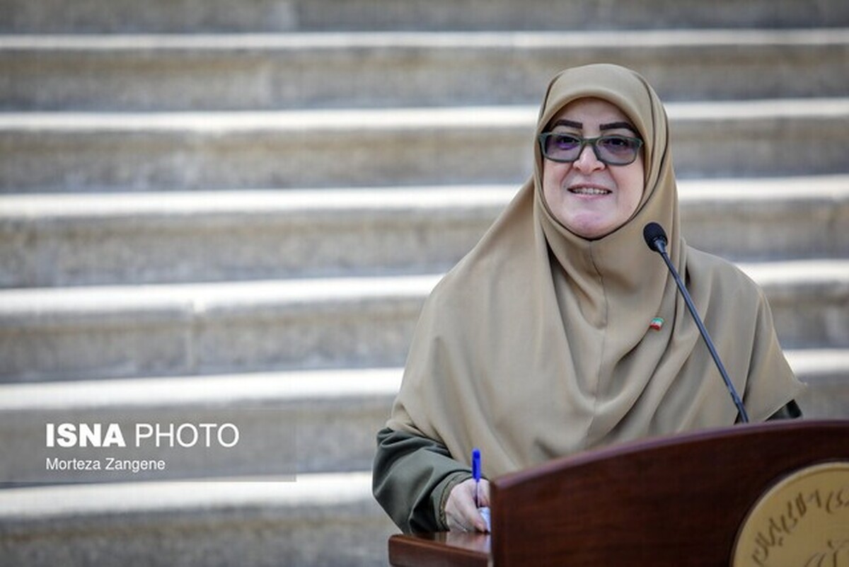 مهاجرانی: دولت دیپلماسی استانی را فعال می‌کند