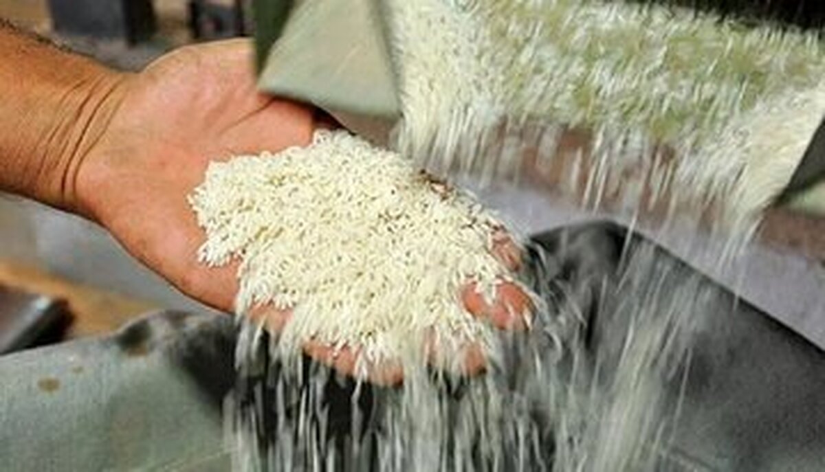 برنج هندی و پاکستانی کیلویی چند؟  / برنج پاکستانی ۲ برابر نرخ مصوب در بازار عرضه می‌شود