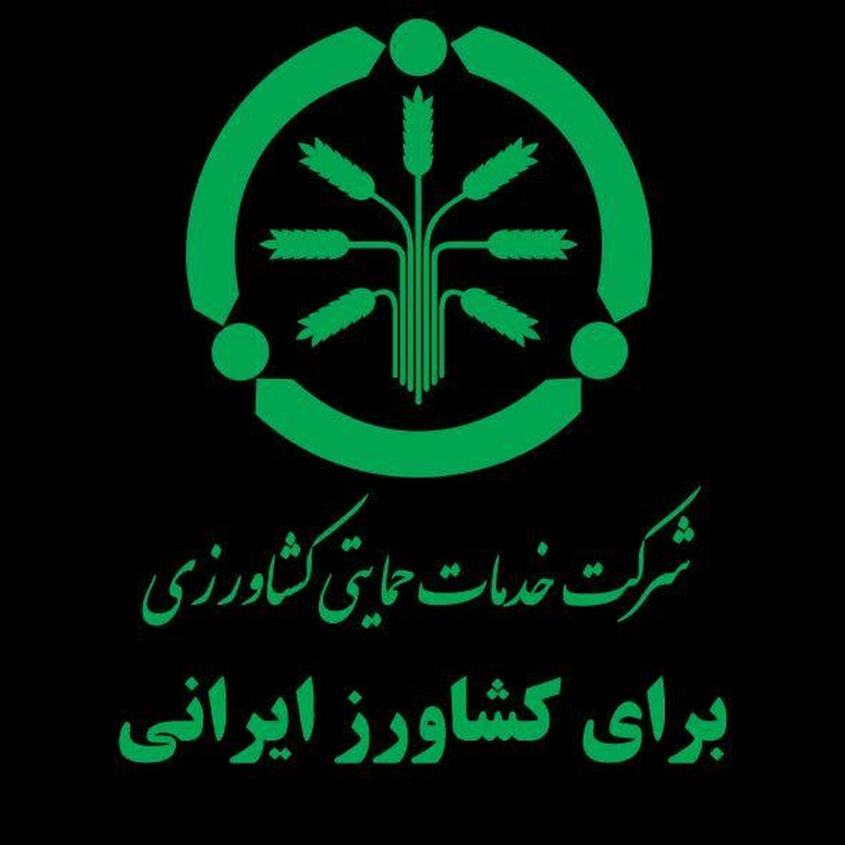 برنامه‌ریزی برای تأمین به‌موقع کود شیمیایی در دستور کار شرکت خدمات حمایتی کشاورزی گلستان