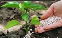 توزیع کود پتاس برای  طیف وسیعی از  محصولات زراعی‌و‌باغی در مناطق  آبی و دیم درگلستان