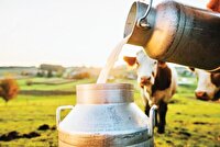 ظرفیت روستا‌ها بهترین اهرم برای تولید و کارآفرینی