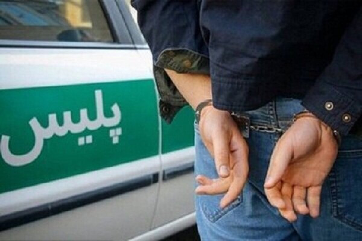 دختر جوان با تیپ پسرانه سرکرده باند سارقین سریالی تهران بود