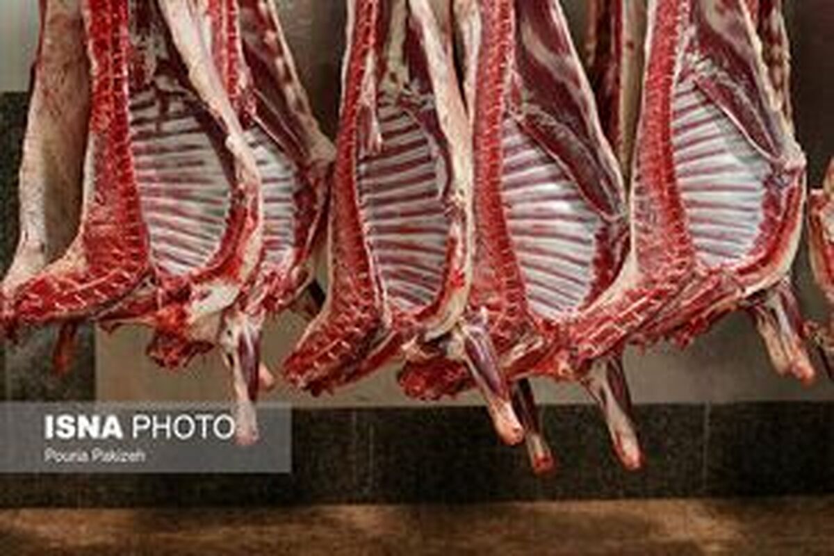افزایش عرضه گوشت قرمز در شهریور ماه