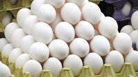 بولاغی: ۸۰۰ تن تخم‌مرغ احتکارشده در رامیان کشف شد؛ پلمب سردخانه متخلف