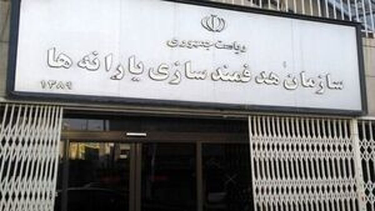 ماجرای پیامک‌ سازمان هدفمندی یارانه‌ها به سرپرستان خانوار