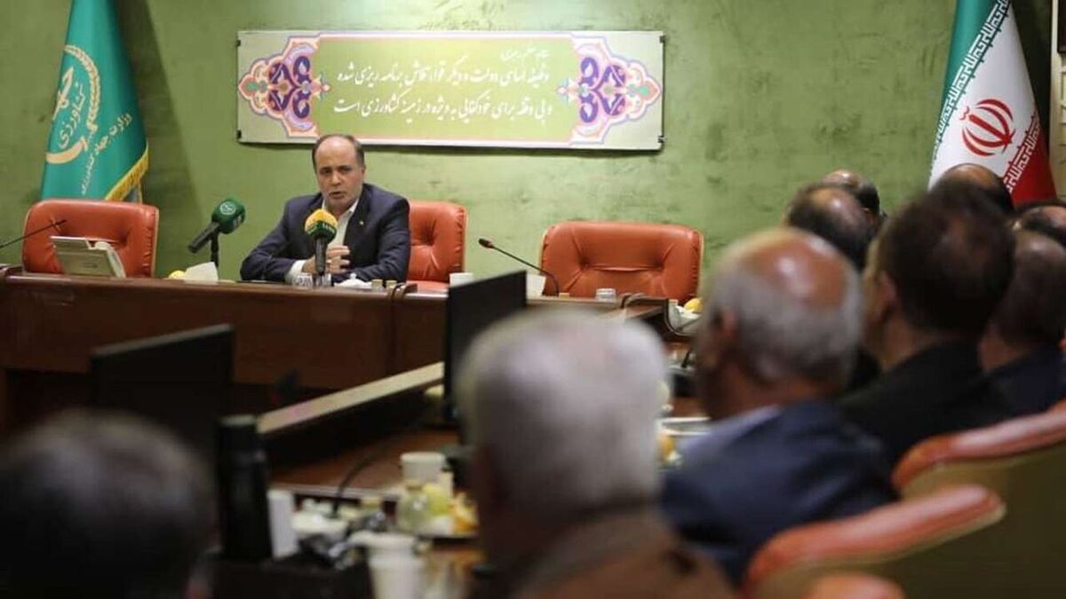 قیمت مصوب مرغ و تخم مرغ تا پایان سال جاری تغییر نمی کند