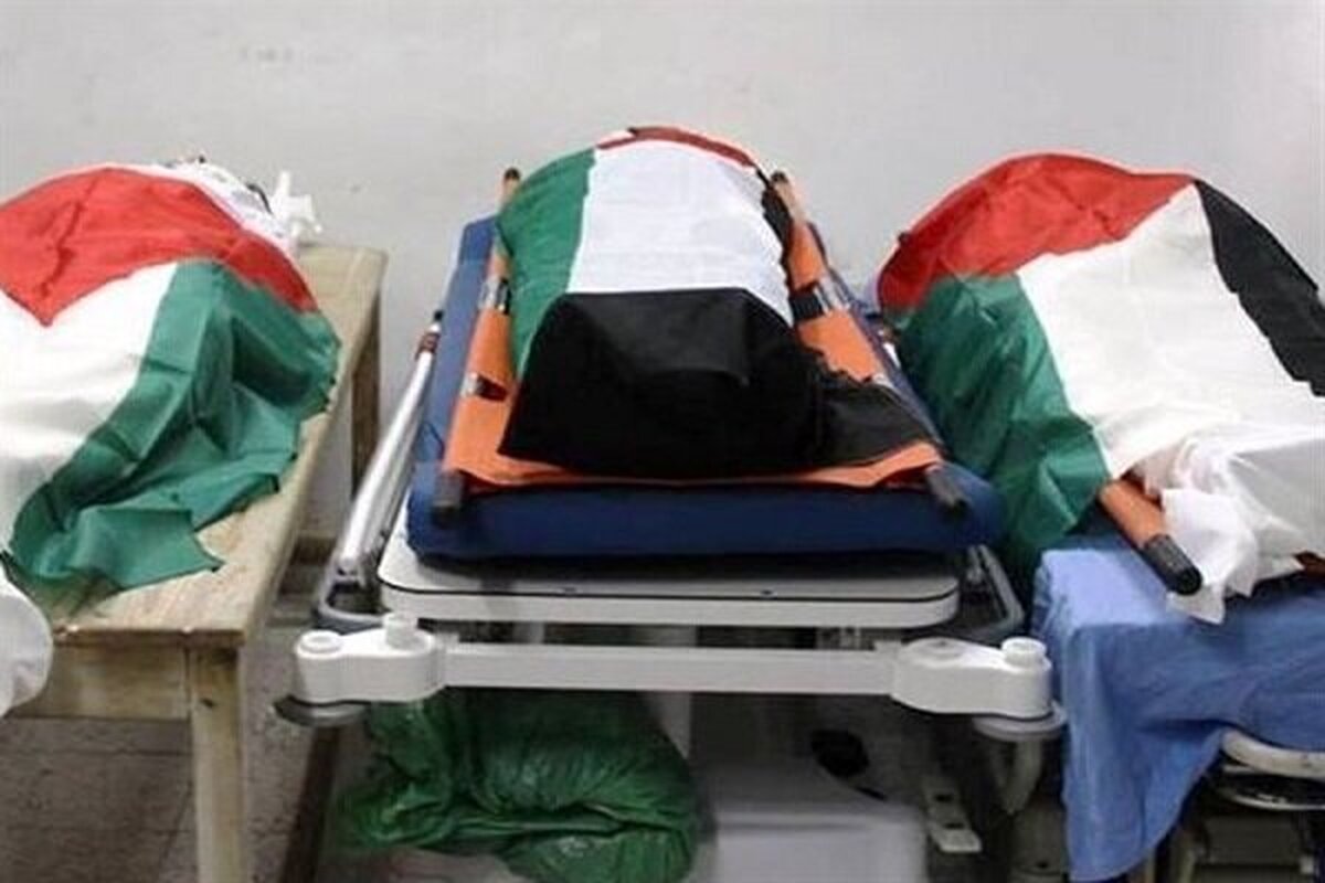 مشاهده آثار شکنجه شدید برپیکرهای شهدای فلسطینی؛«فورا تحقیقات آغاز شود»