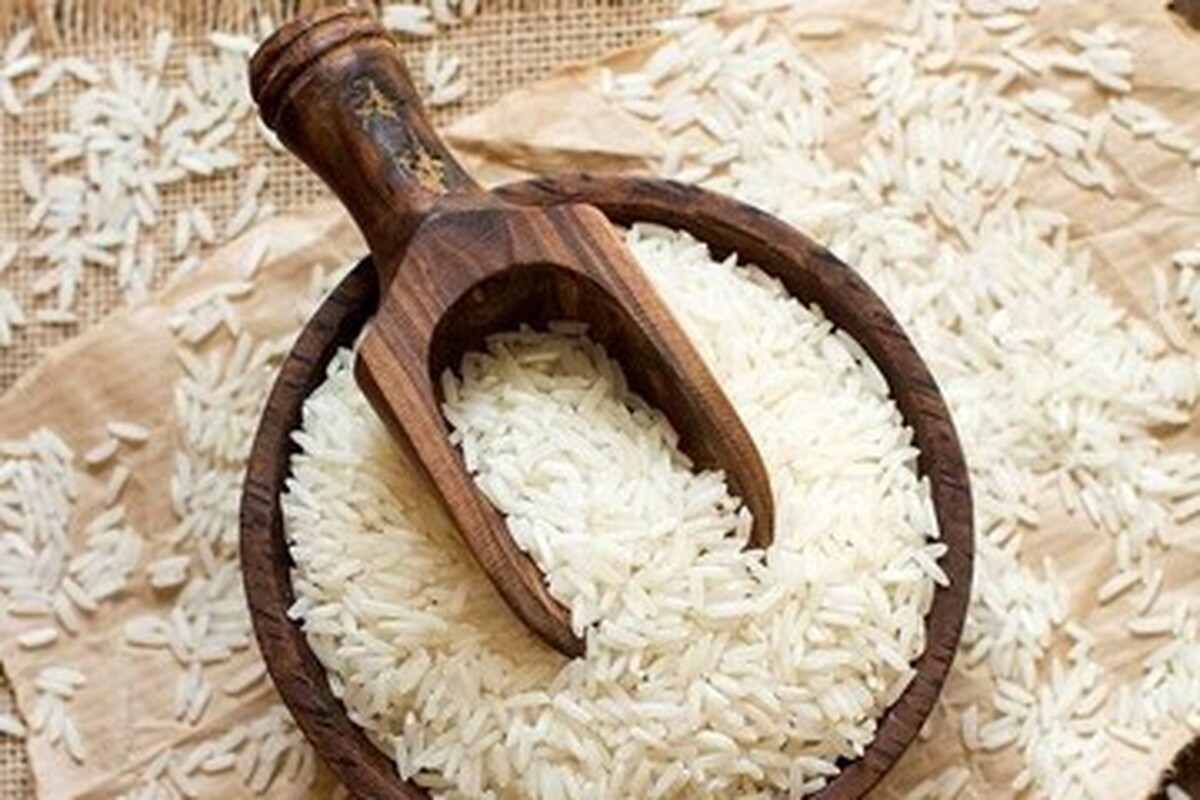 قیمت برنج ۳ برابر شد/ جزییات تغییر قیمت برنج و لوبیاچیتی