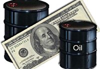 اسنپ‌بک و شوک روانی بازار ارز/ چرا مشتری‌های نفت ایران تغییر مسیر نمی‌دهند؟
