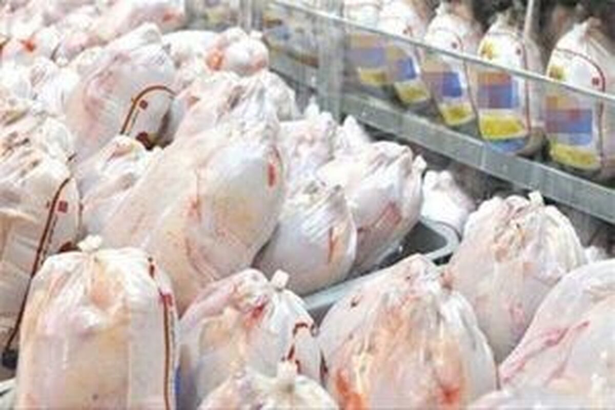قیمت مرغ تا ۳ روز آینده کاهش می‌یابد
