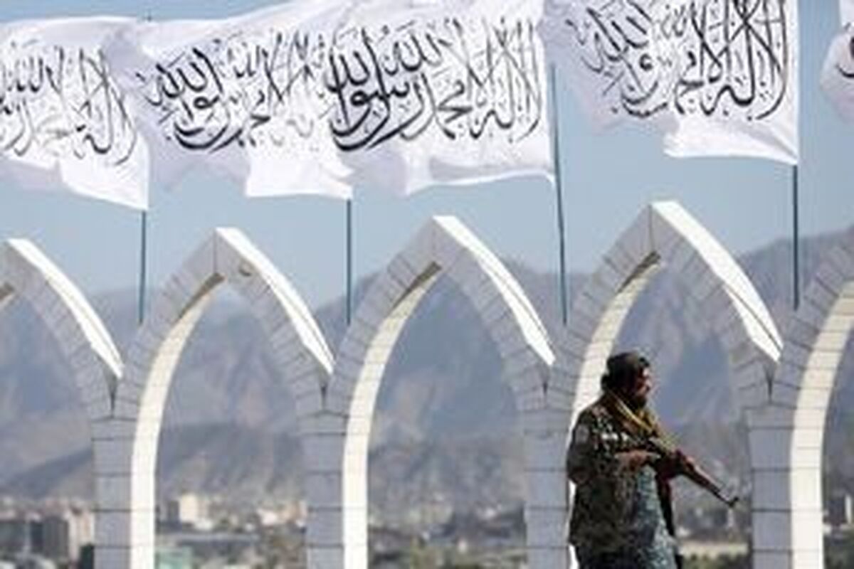 واکنش طالبان به قطع عمدی اینترنت
