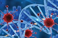 افزایش روزافزون سرطان پستان؛ غربالگری کلید نجات زنان ایرانی