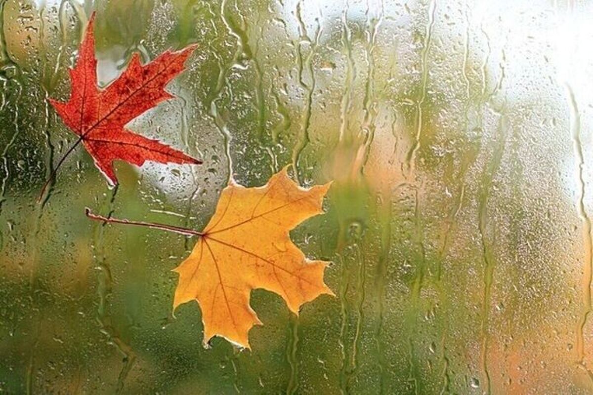 فعالیت سامانه بارشی جدید در کشور از امروز؛ هوا سرد می‌شود