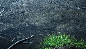 بارش باران و کاهش دما در برخی استان‌ها