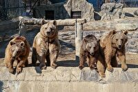 حضور رایگان دانش‌آموزان و خانواده‌ها در باغ‌وحش به مناسبت ۱۳ آبان