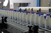 سومین عرضه اولیه امسال بورس تهران معرفی شد/ صنایع لبنی ایران در مرز خودکفایی تولید شیرخشک