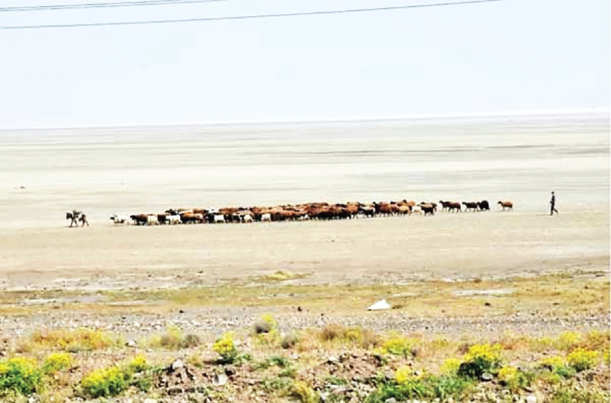 همت کشاورزان آذربایجان‌غربی از مزرعه تا دریاچه