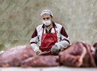 وزارت جهاد توپ نهاده‌ها را به زمین بانک مرکزی انداخت