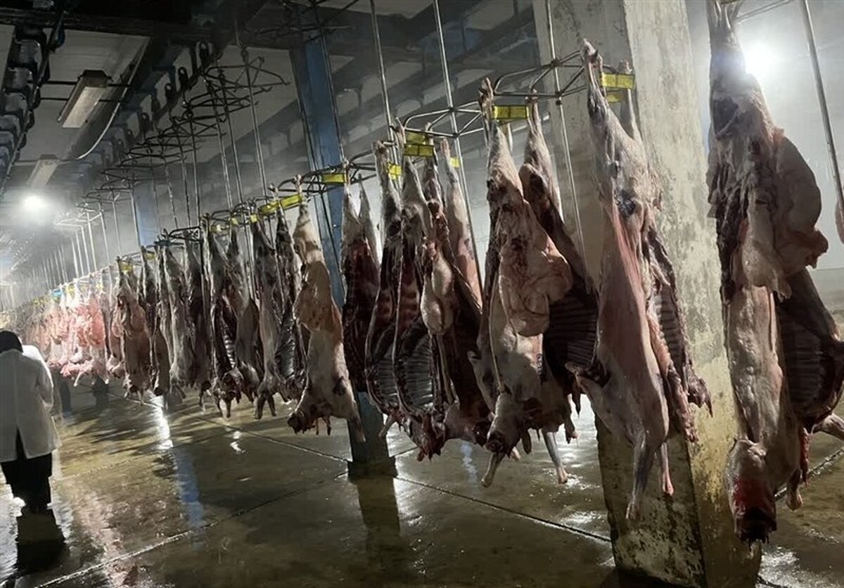 زاکانی: چرا قیمت گوشت ۸۰۰ هزار تومان است؟