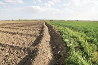 تجربه پاییز خشک برای اردبیل پر بارش!