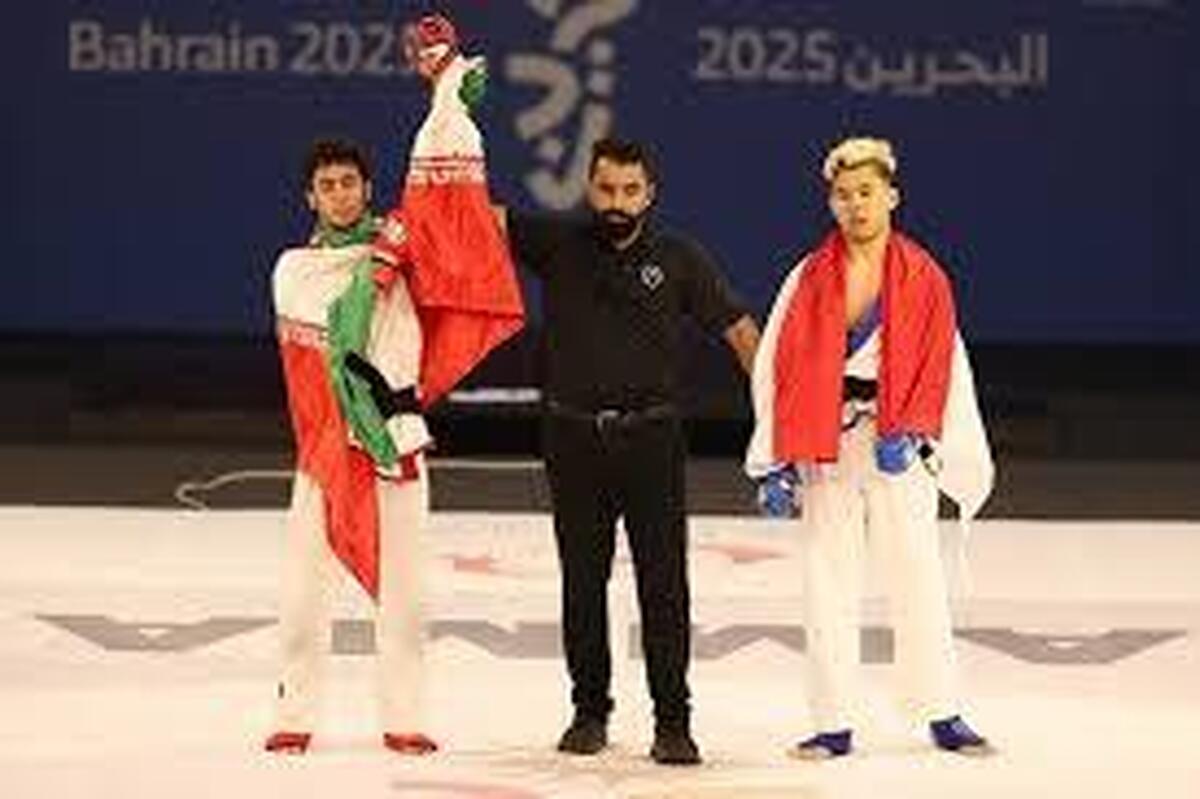نماینده MMA ایران به مدال برنز رسید