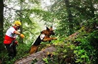 جزئیات مفقودی ۱۲ گردشگر در جنگل‌های مازندران/ عملیات امداد و نجات ادامه دارد