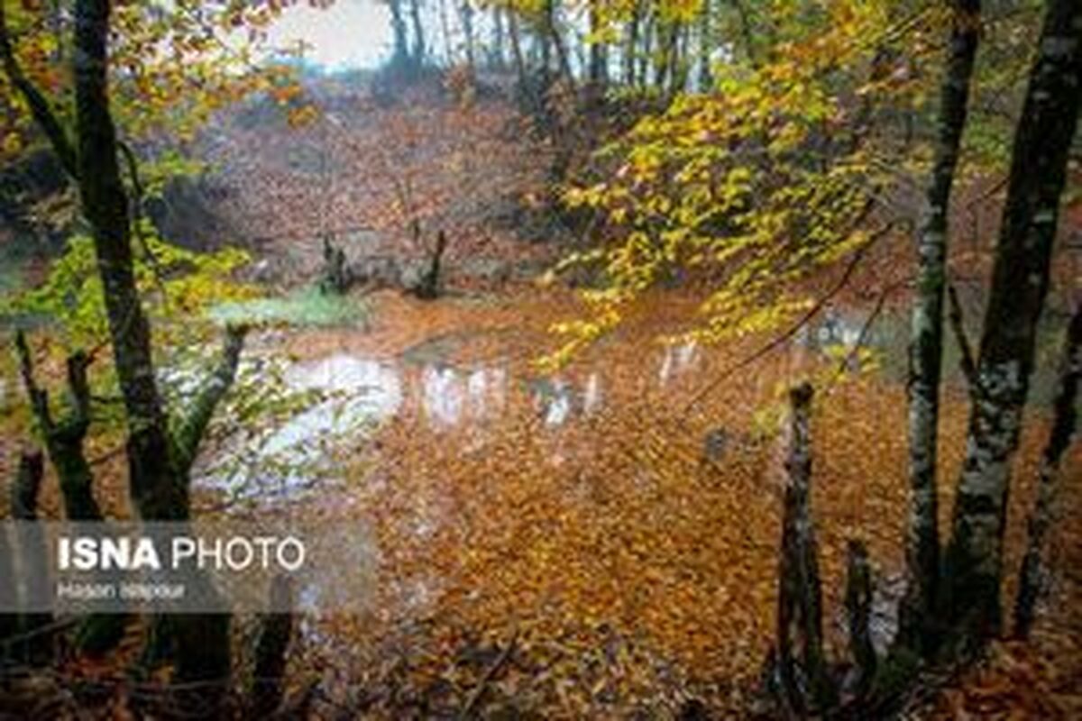 وضعیت دما و بارش تا پایان آذرماه