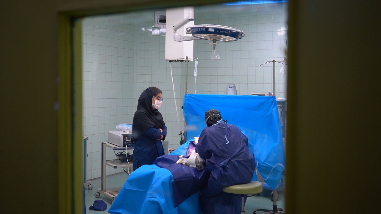 مجلس همراه با گروه‌های جهادی است