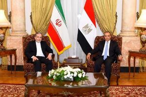 گفت‌وگوی تلفنی وزیر خارجه مصر با عراقچی و گروسی