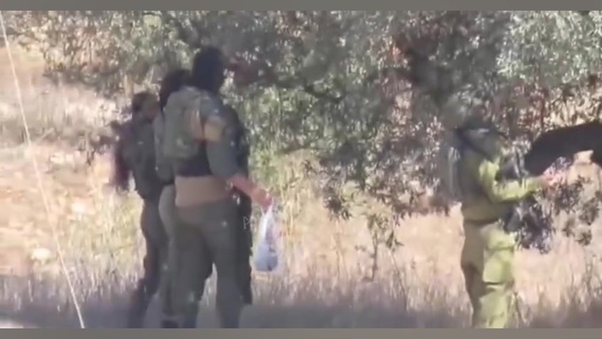 نظامیان اسرائیلی شریک جرم شهرک‌نشینان در سرقت از باغ‌های زیتون فلسطینیان