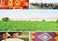 فرصت مهاجرت معکوس با احیای اقتصاد بومی کرمانشاه