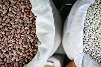 قیمت جدید لوبیاچیتی در بازار