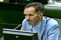 نماینده مجلس: اعتبار کالابرگ مشکل مردم را حل نمی‌کند، قیمت‌ها باید ثابت شود