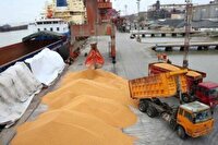 راز نوسانات بازار مرغ و گوشت چیست؟