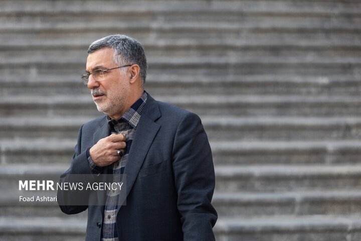 ظفرقندی: بیش از ۱۷۰ بیماری خاص مشمول بیمه هستند