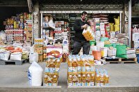 ارز ترجیحی را دلال‌ها خوردند پس گرانش می‌کنیم!