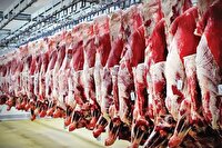 رشد عرضه گوشت قرمز