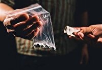 نخستین نشانه‌های مصرف گل از قرمزی چشم و خنده‌های بی‌دلیل تا گوشه‌گیری و افت تحصیلی