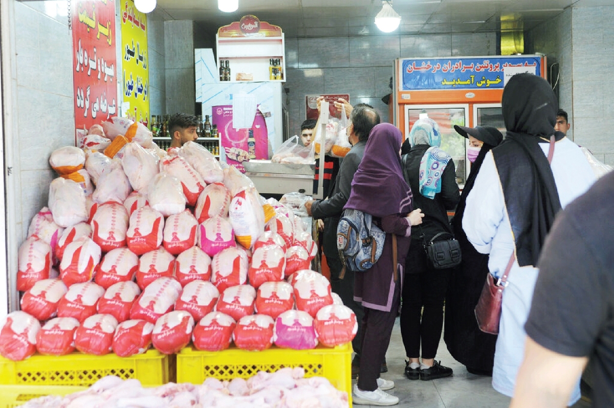 قیمت تولید مرغ ترمز برید