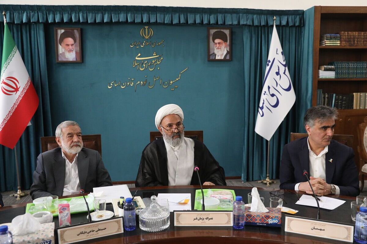 فرزین: هیچگونه ناترازی ناشی از ادغام بانک آینده به بانک ملی منتقل نخواهد شد