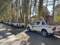 اهدای ۳۰ سری جهیزیه به نوعروسان تحت حمایت کمیته امداد امام خمینی (ره)