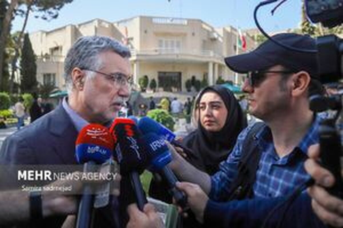 ظفرقندی: پلتفرمهای حمل دارویی در مرحله عملیاتی قرار میگیرند