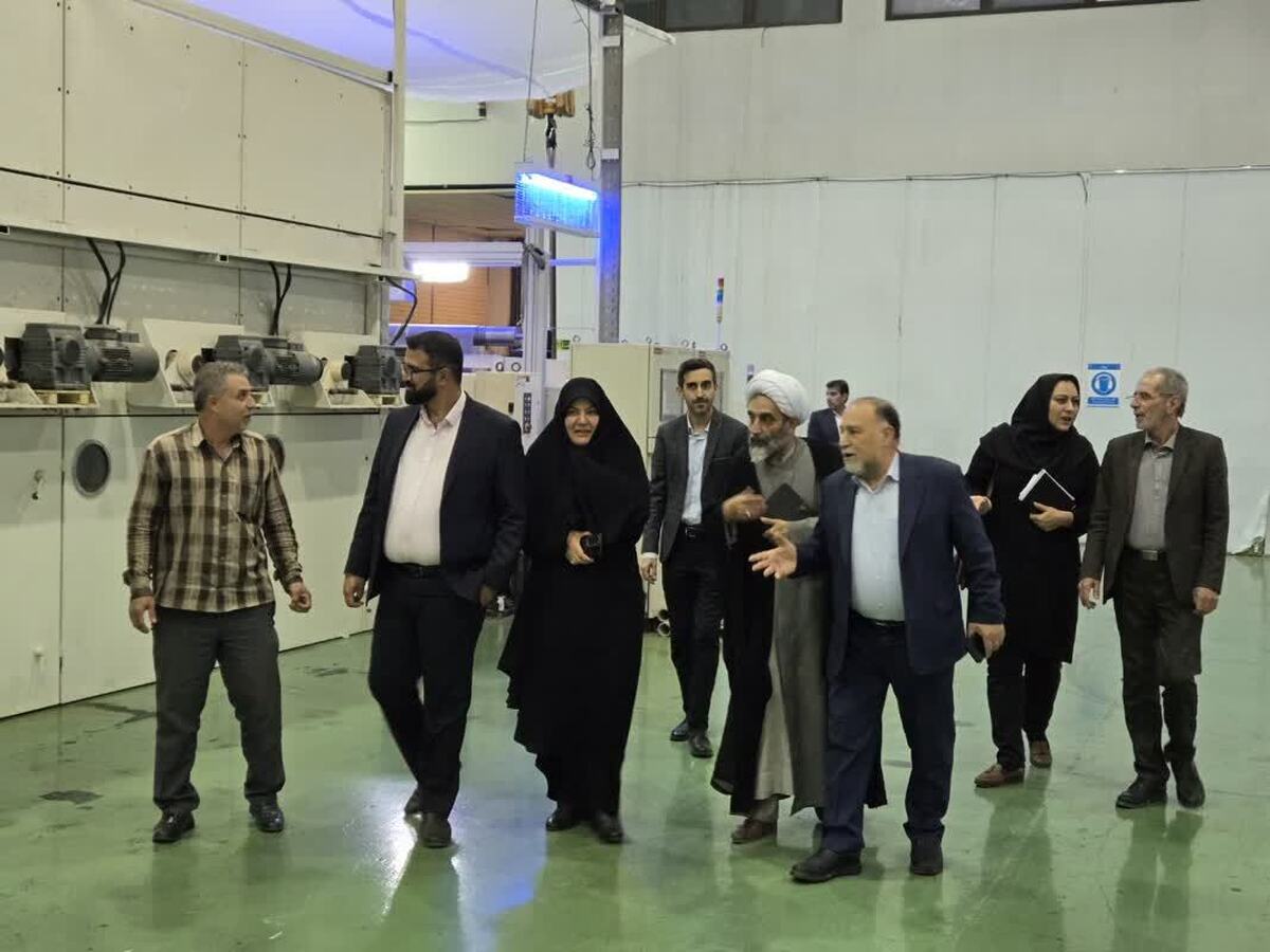 پرداخت ۸۰ میلیارد ریال حمایت بیمهای برای اشتغال معلولان